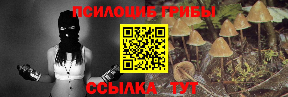 Галлюциногенные грибы ЛСД Зеленогорск