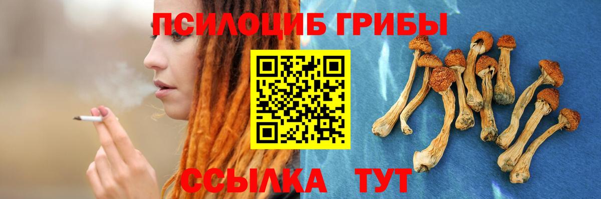 Псилоцибиновые грибы GOLDEN TEACHER  Псилоцибиновые грибы мицелий  Вход с VPN  Зеленогорск 
